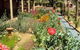 Belmore Manor Bed And Breakfast - thumb 1