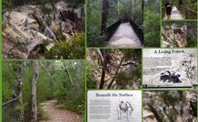 Finchley Bed And Breakfast - Accommodation Brisbane 7