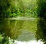 Mangrove Yoga Ashram - - Accommodation Brisbane