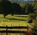 Pines on the Plateau - Accommodation Brisbane
