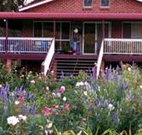 Rose Patch Bed and Breakfast - Accommodation Brisbane