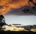 Silkwood B and B - Accommodation Brisbane