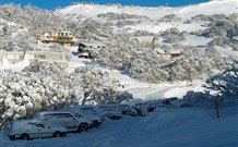 The Lions Lair Lodge - - Accommodation Brisbane 0