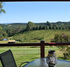 The Shed B and B - Accommodation Brisbane