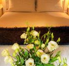 Winton Luxury Bed and Breakfast - Accommodation Brisbane