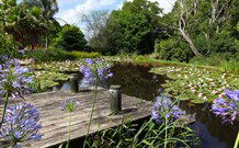 Yellow Dog Cottage - - Accommodation Brisbane 4