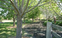 Yellow Dog Cottage - - Accommodation Brisbane 6