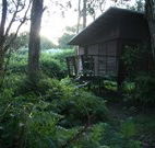 Mount Seaview Resort - Accommodation Brisbane