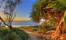 Andrea's Houses - Frangipani House - Accommodation Brisbane 4