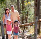 Elgetha Cottage - Accommodation Brisbane