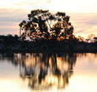 Myuna Bay Sport and Recreation Centre - Accommodation Brisbane