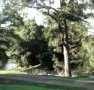 Rustic Caravan Park - Accommodation Brisbane
