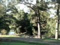 Rustic Caravan Park - Accommodation Brisbane 0