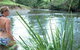 Rustic Caravan Park - thumb 2