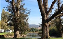 Sand Cottage - Accommodation Brisbane 1