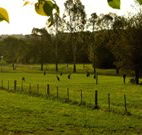 Stone Cottage Mittagong - Accommodation Brisbane