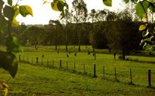 Stone Cottage Mittagong - Accommodation Brisbane 0