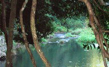 The Dell Blackheath - Accommodation Brisbane 1