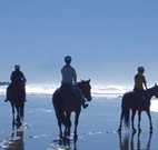 The Hayloft - Accommodation Brisbane