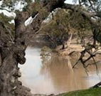 Valley View Cottage Hunter Valley - Accommodation Brisbane