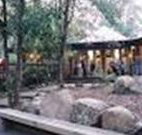 Williams River Holiday Park - Accommodation Brisbane