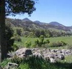 Woolshed Hill Estate - Accommodation Brisbane