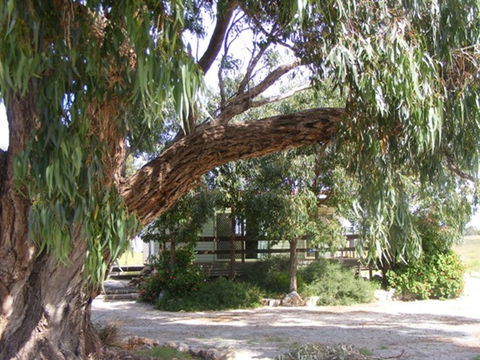 Coodlie Park - Port Kenny - Venus Bay - Accommodation Brisbane 4