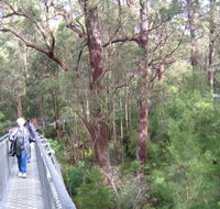 Walpole YHA - Accommodation Brisbane