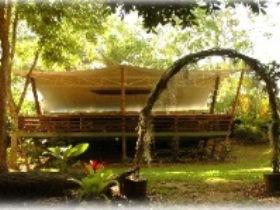 Cedar Park Rainforest Resort - Accommodation Brisbane 2