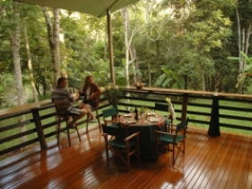 Cedar Park Rainforest Resort - Accommodation Brisbane 3