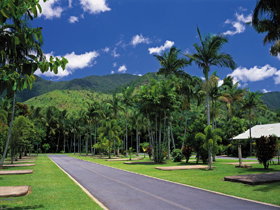 BIG4 Cairns Crystal Cascades Holiday Park - Accommodation Brisbane 1