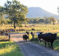 Tommerups Dairy Farmstay - Accommodation Brisbane
