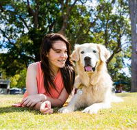 Jacobs Well Tourist Park - Accommodation Brisbane