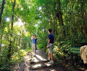 O'Reilly's Rainforest Retreat - Accommodation Brisbane 2