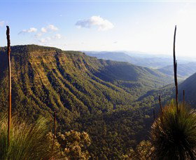 O'Reilly's Rainforest Retreat - Accommodation Brisbane 3