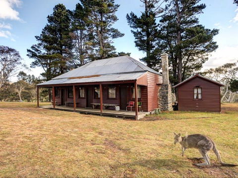 The Pines Cottage - Accommodation Brisbane 0