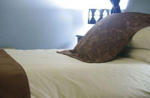 Mount Victoria Manor - Accommodation Brisbane 0