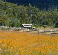 Pender Lea Alpine Guest Accommodation - Accommodation Brisbane