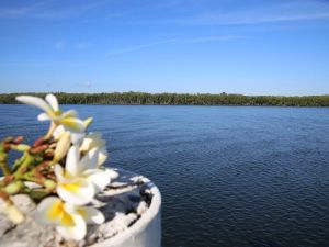 The Fishing Haven Holiday Park - Accommodation Brisbane 0