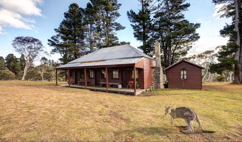 The Pines Cottage - Accommodation Brisbane 1