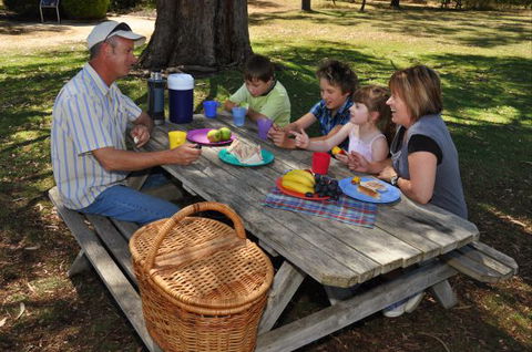 Naracoorte Caves Camping And Accomodation - Accommodation Brisbane 0