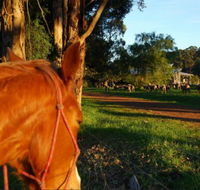 Billa Billa Farm Cottages - Accommodation Brisbane