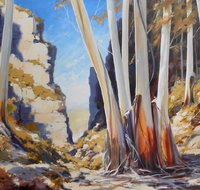 Gallery Blackheath - Accommodation Brisbane