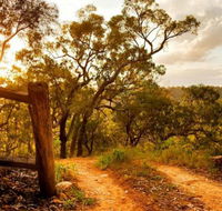 Kurrajong Trails and Cottages - Accommodation Brisbane