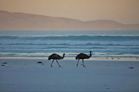 Thomas River Shire Reserve Camp At Cape Arid National Park - Accommodation Brisbane 0