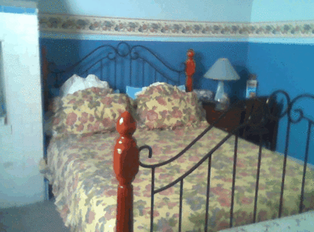 Hamilton Heritage Bed & Breakfast - thumb 2