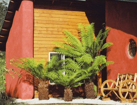 Whispering Spirit Cottage  Miniature Pony Stud - Accommodation Brisbane