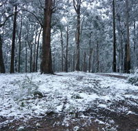 High Peaks Cottages - Accommodation Brisbane