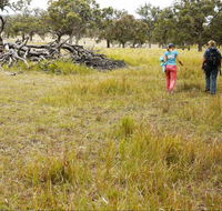 Carnarvon National Park camping - Accommodation Brisbane