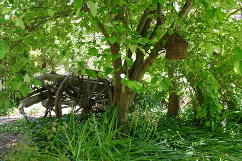 Willowbrook Heritage Bed & Breakfast - Accommodation Brisbane 7